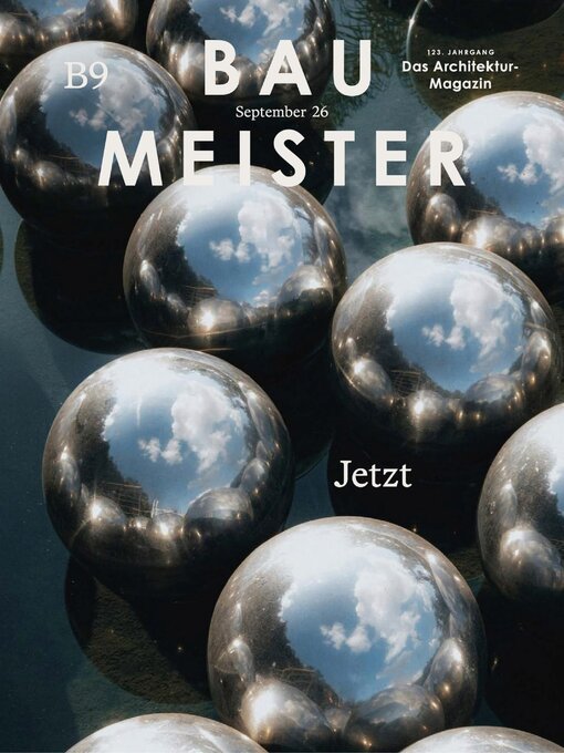 Cover image for Baumeister